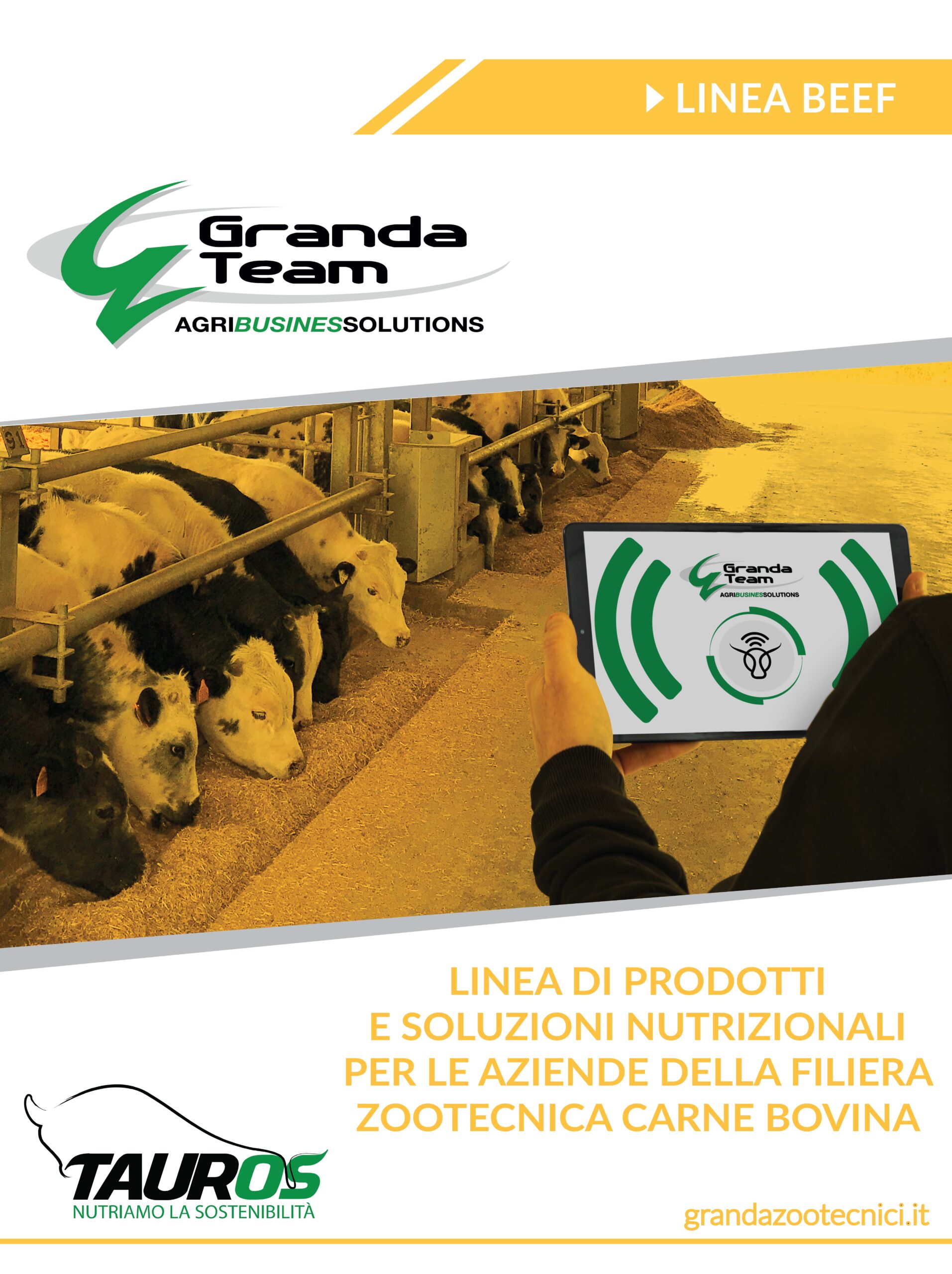 Linea prodotti BEEF_Granda Tea