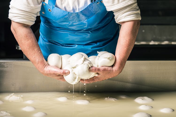 Qualità del latte_granda team
