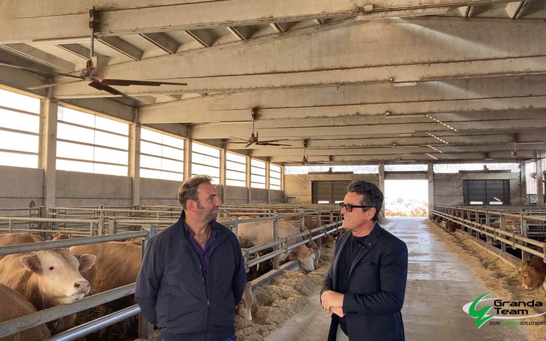 Innovazione, sostenibilità e benessere nella filiera carne