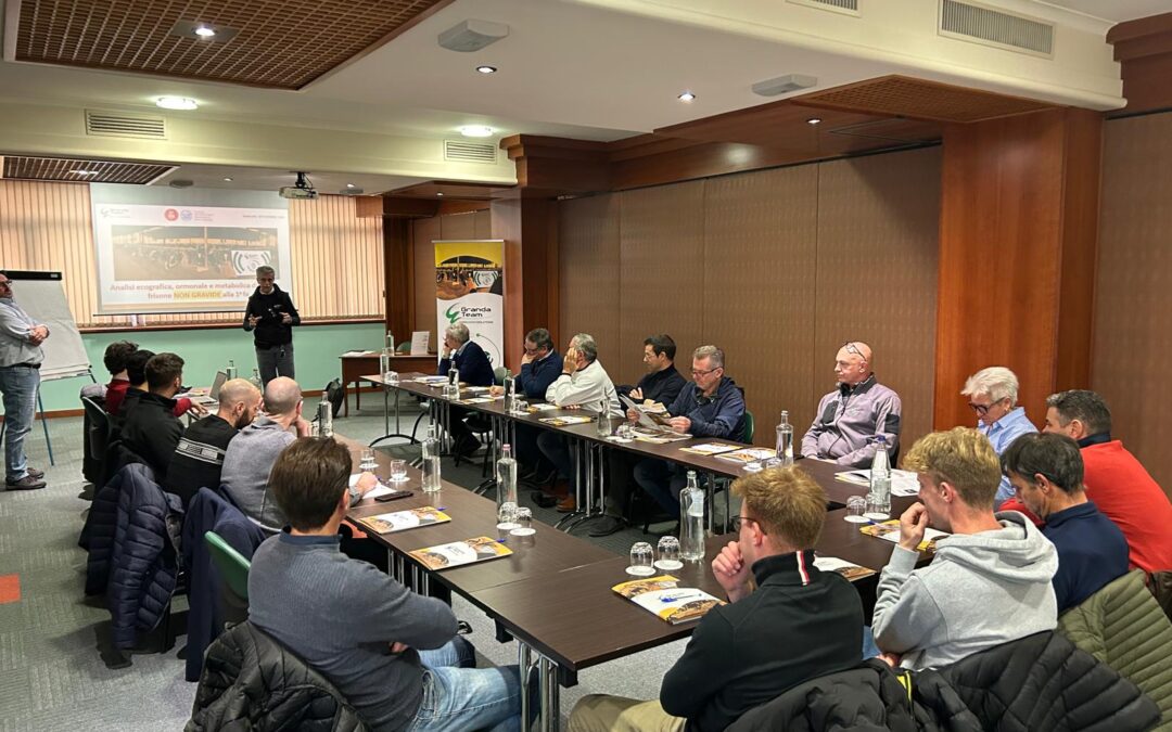 🐄 FOCUS GROUP GRANDA TEAM: ANALISI ECOGRAFICA, ORMONALE e METABOLICA di BOVINE FRISONE NON GRAVIDE ALLA PRIMA FECONDAZIONE🐄