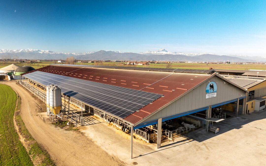 Nuovo Webinar di Granda team: Il post-parto è lo specchio della transizione.  Parti senza problemi….. la cura comincia dall’asciutta.